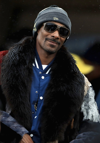 Snopp Dogg in Los Angeles in November 2016 Sean M. Haffey/Getty Images